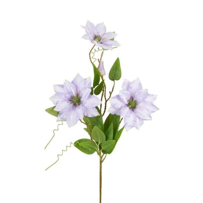 CLEMATIS 89cm