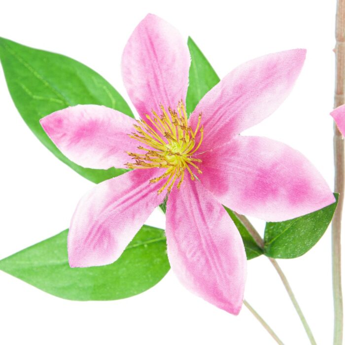 CLEMATIS VINE 78cm - Image 2