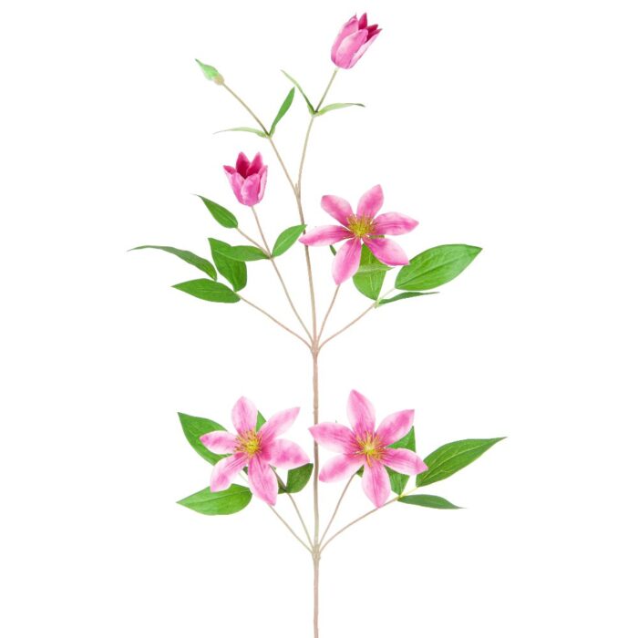 CLEMATIS VINE 78cm