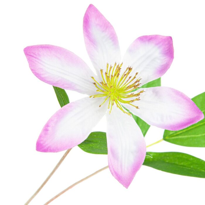 CLEMATIS VINE 78cm - Image 2