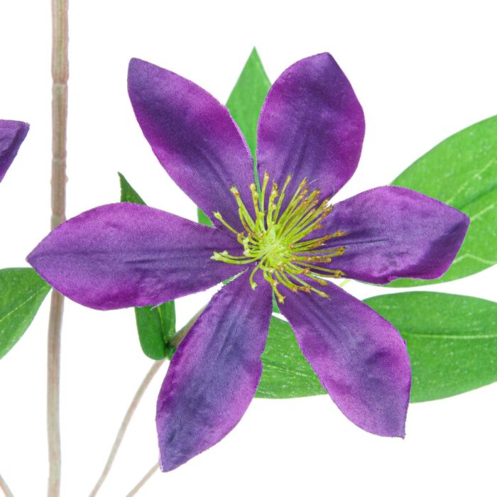 CLEMATIS VINE 78cm - Image 2