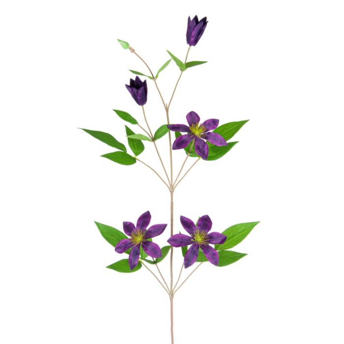 CLEMATIS VINE 78cm