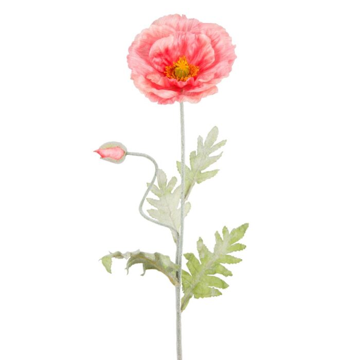 ICELANDIC POPPY 72cm