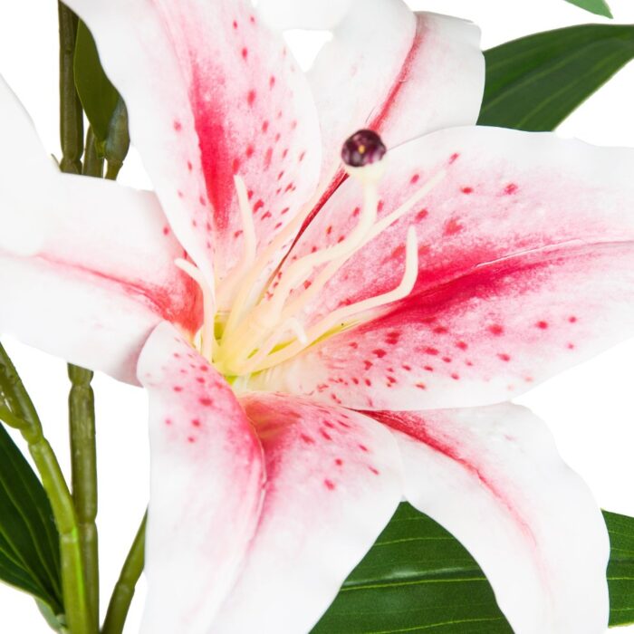 STARGAZER ORIENTAL LILY 100cm - Image 2