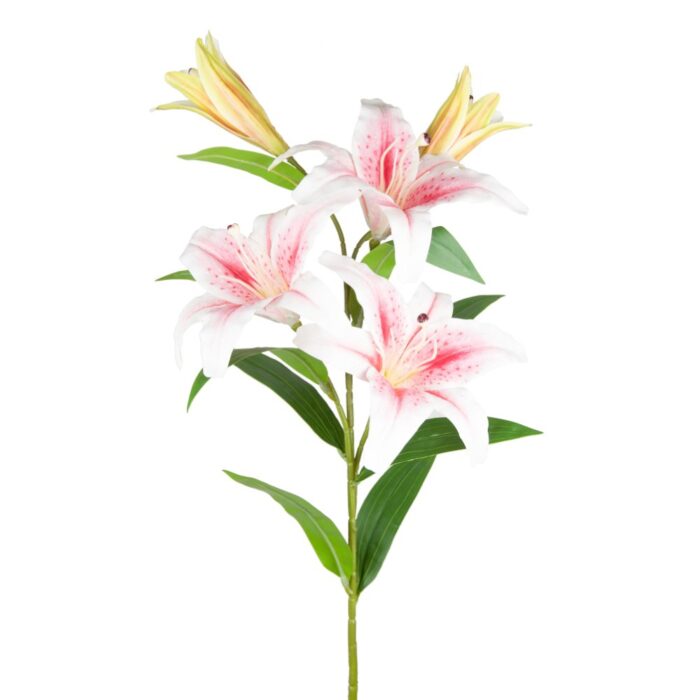 STARGAZER ORIENTAL LILY 100cm