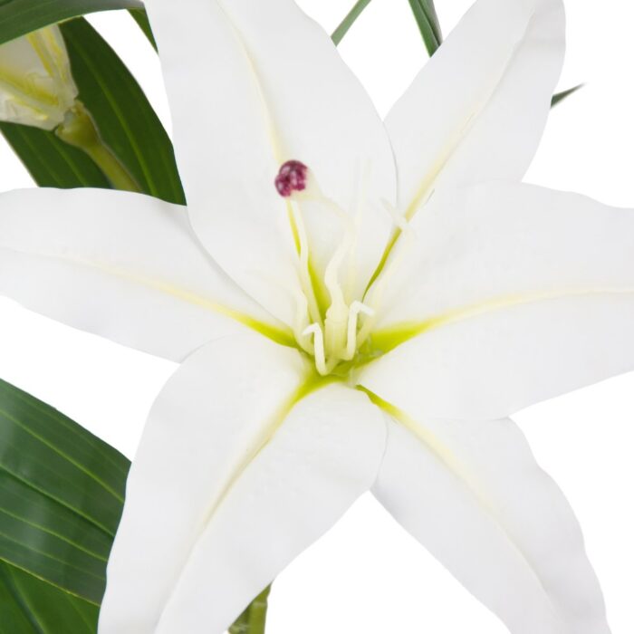 MONT BLANC LILY 100cm - Image 2