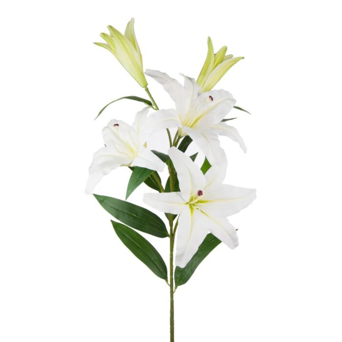 MONT BLANC LILY 100cm