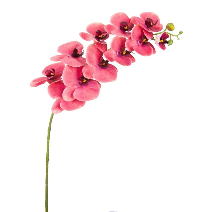 CRUSHED RASPBERRY PHALAENOPSIS 102cm