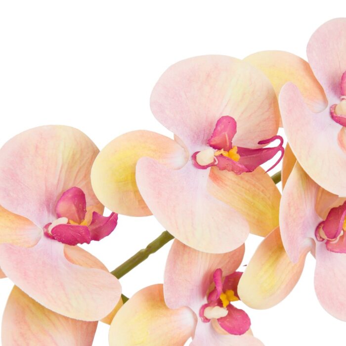 PINK LEMON PHALAENOPSIS 102cm - Image 2
