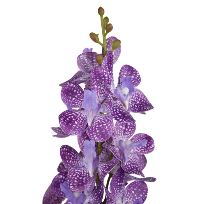 VANDA ORCHID 68cm - Image 2