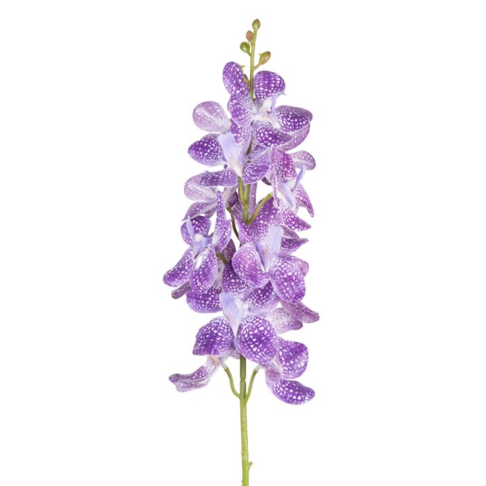 VANDA ORCHID 68cm