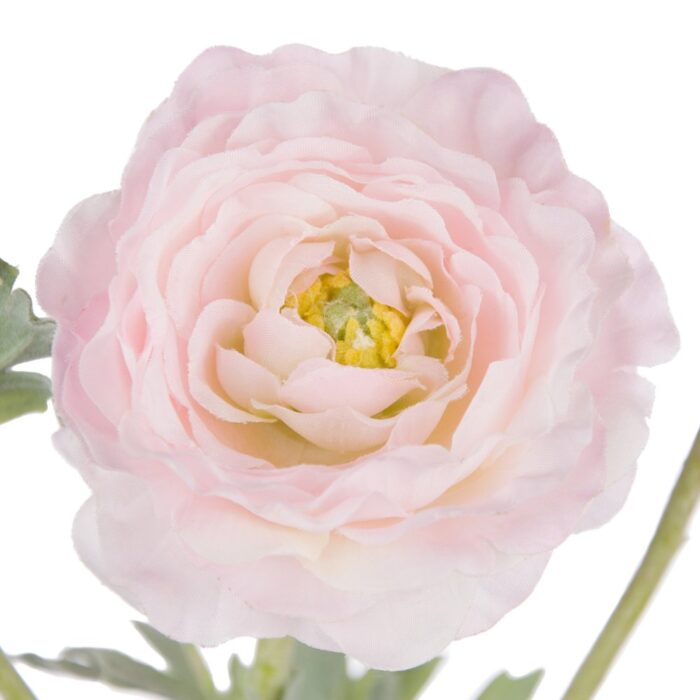 PEGGY RANUNCULUS 62cm - Image 2