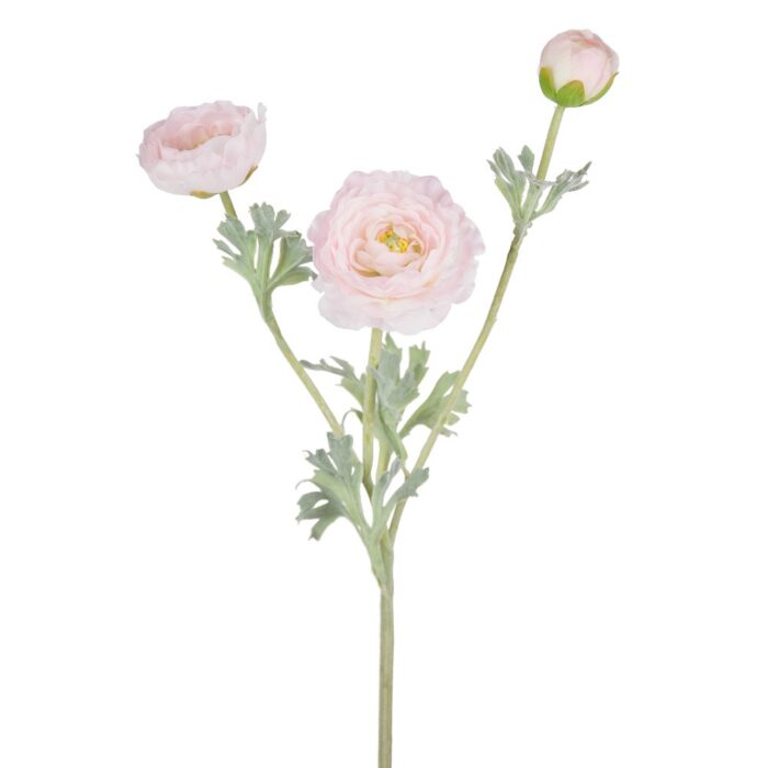PEGGY RANUNCULUS 62cm