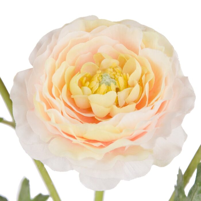 PEGGY RANUNCULUS 62cm - Image 2