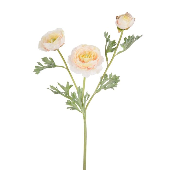 PEGGY RANUNCULUS 62cm