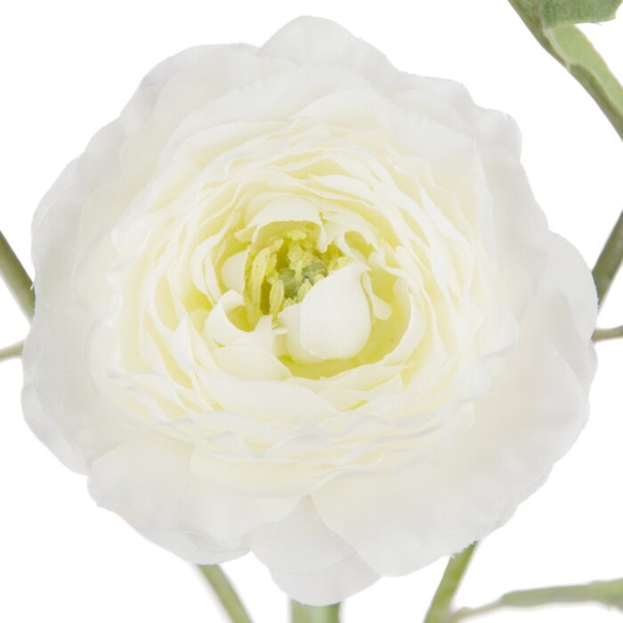PEGGY RANUNCULUS 62cm - Image 2