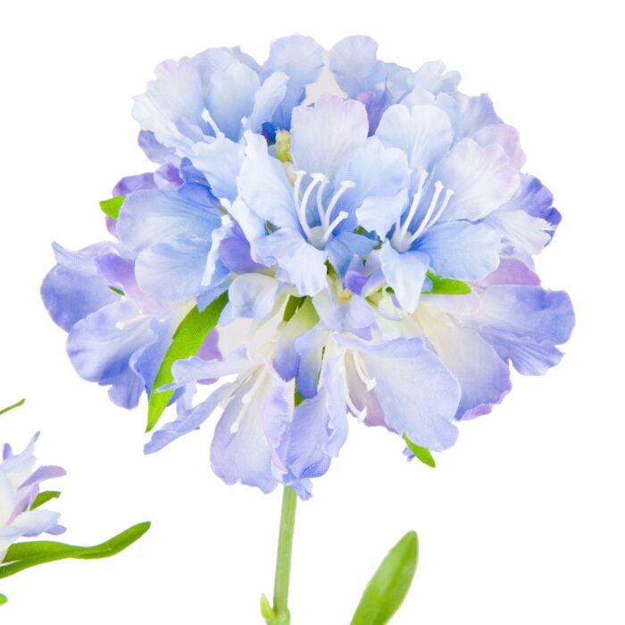 SCABIOSA PERFECTA 76cm - Image 2