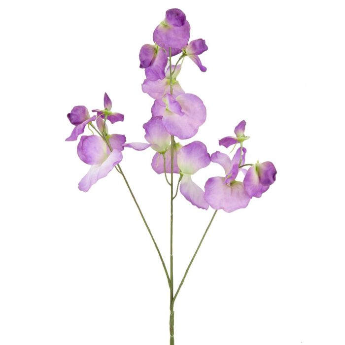 SWEETPEA 74cm