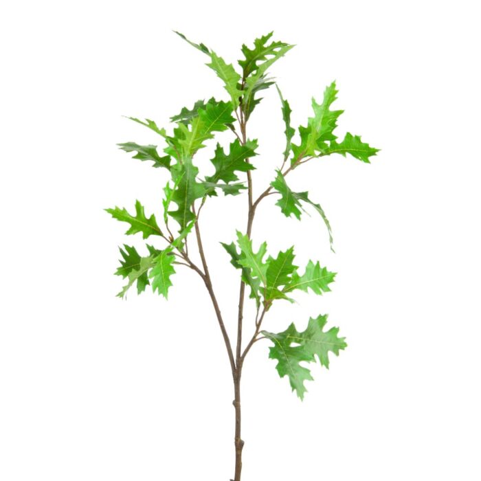 AMERICAN OAK SPRAY 99cm