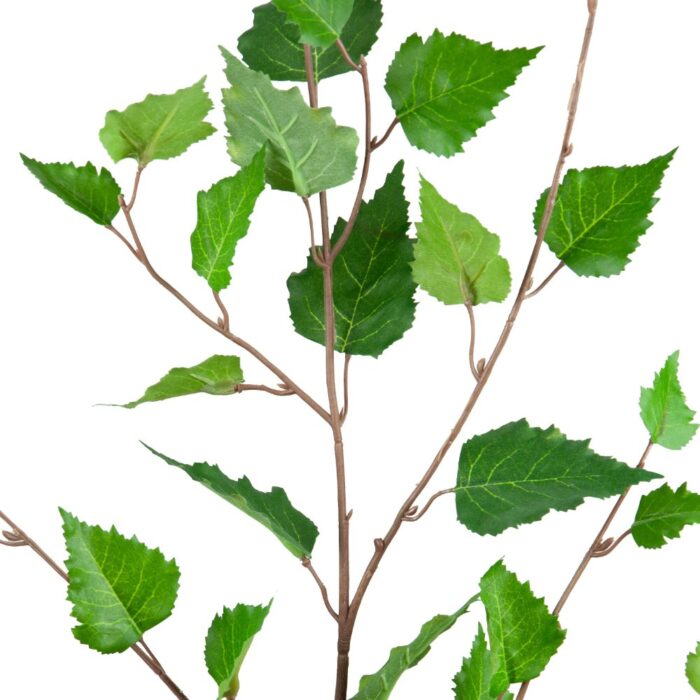 BIRCH SPRAY 100cm - Image 2