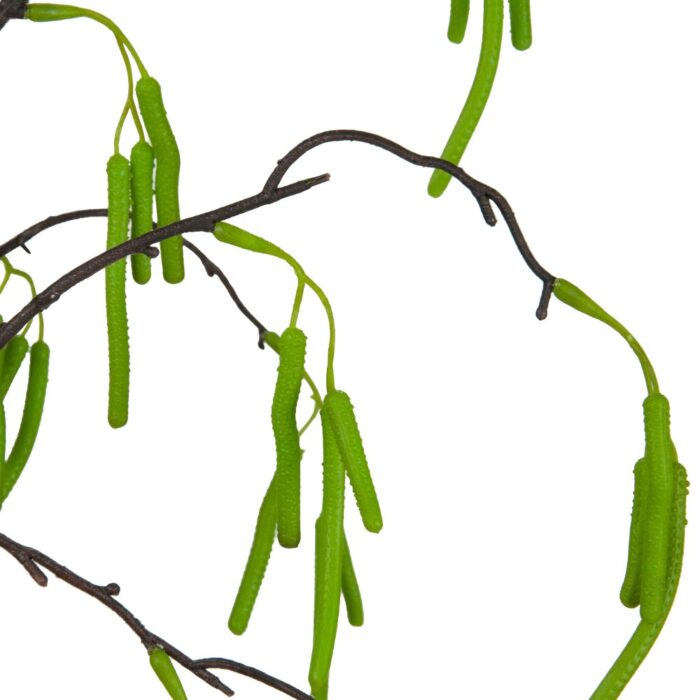 CATKINS SPRAY - Image 2