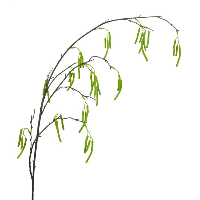 CATKINS SPRAY