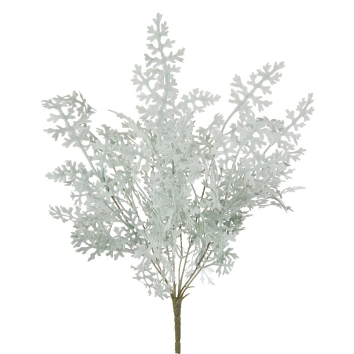 DUSTY MILLER BUSH 40cm