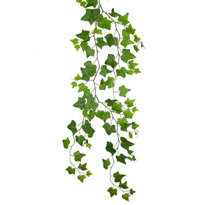 ENGLISH IVY TRAIL 89cm