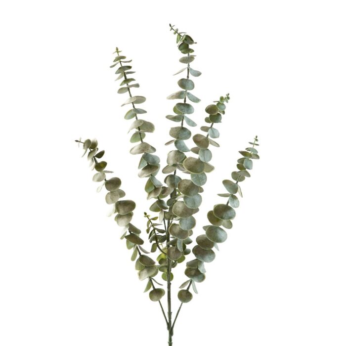 EUCALYPTUS 80cm