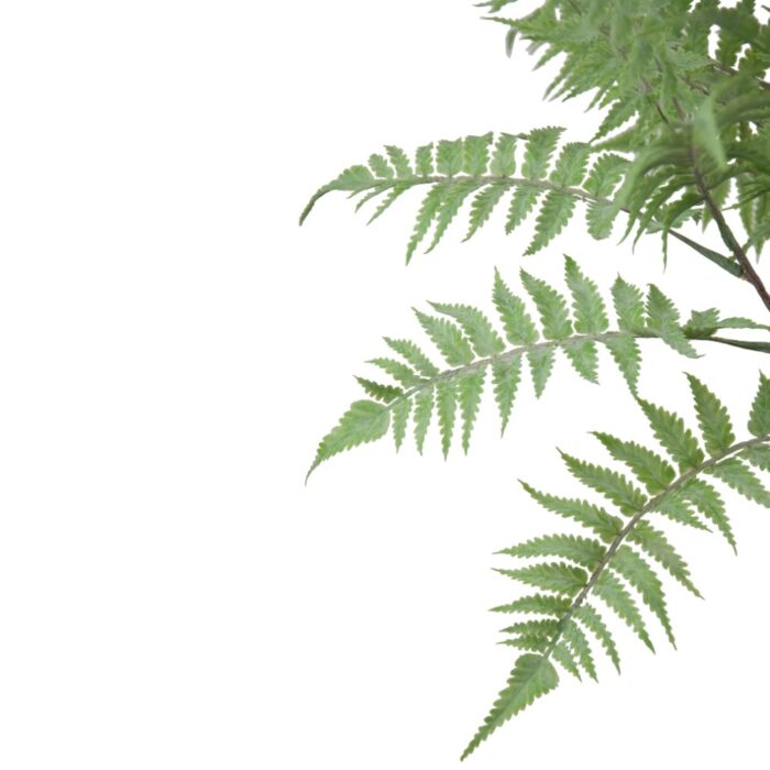 FROSTED BOSTON FERN SPRAY 80cm - Image 2
