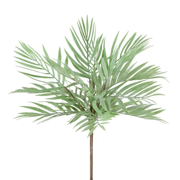 FROSTED CYCAS FERN 45cm