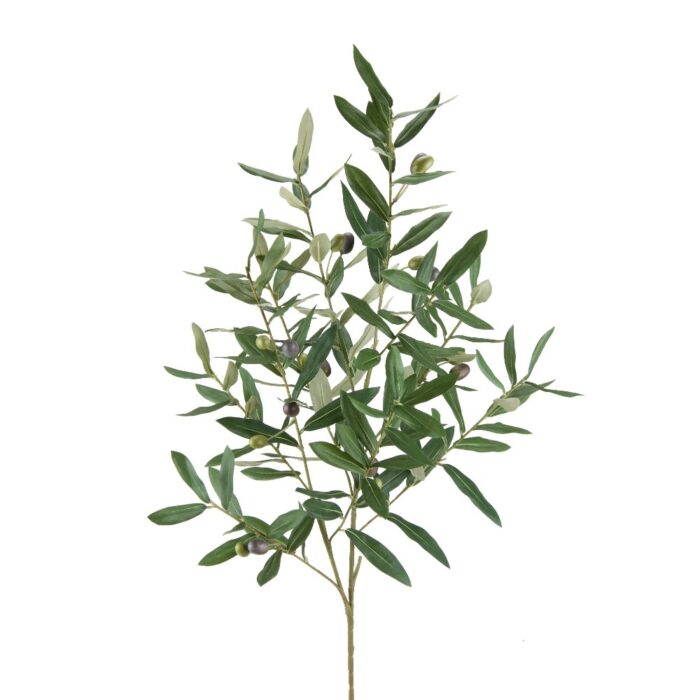 OLIVE SPRAY 100cm
