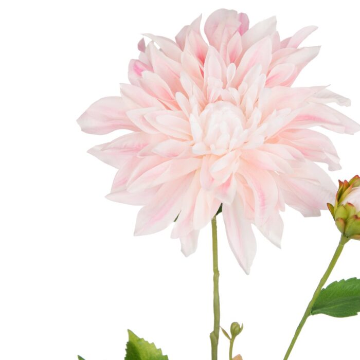 WINDSOR DAHLIA 56cm - Image 2