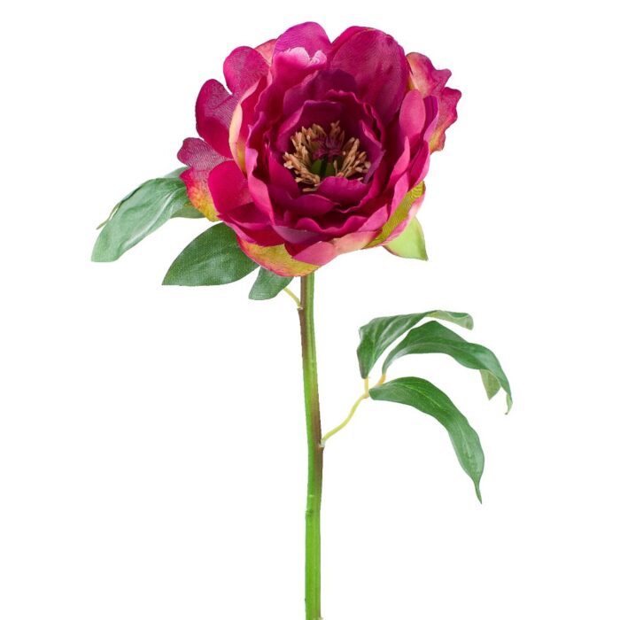 BELLE PEONY 55cm