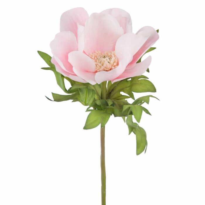 CANDY ANEMONE 44cm