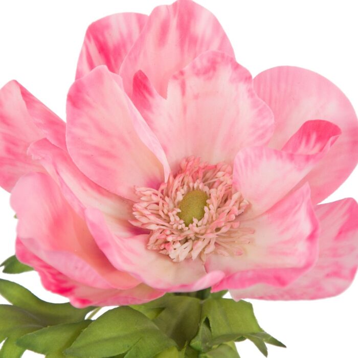 CANDY ANEMONE 44cm - Image 2