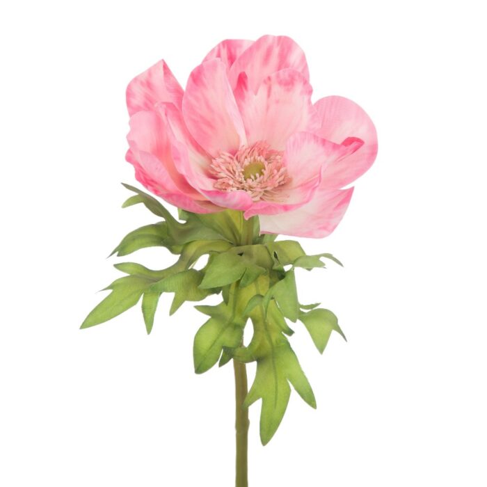 CANDY ANEMONE 44cm