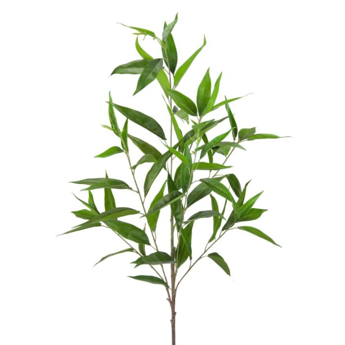 WILD PRIVET 108cm