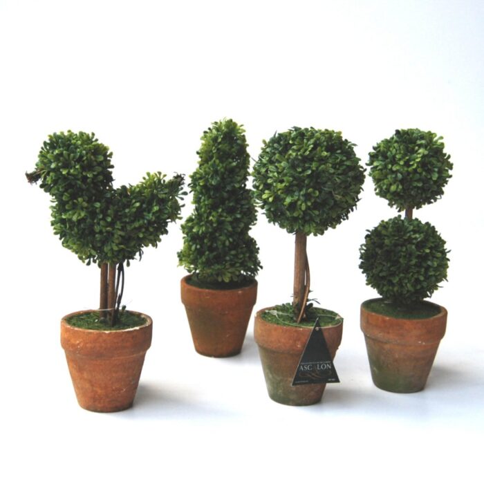 MINI TOPIARY TWIST (21cm) - Image 2