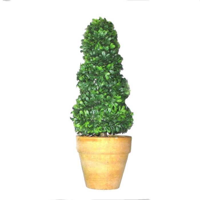 MINI TOPIARY TWIST (21cm)
