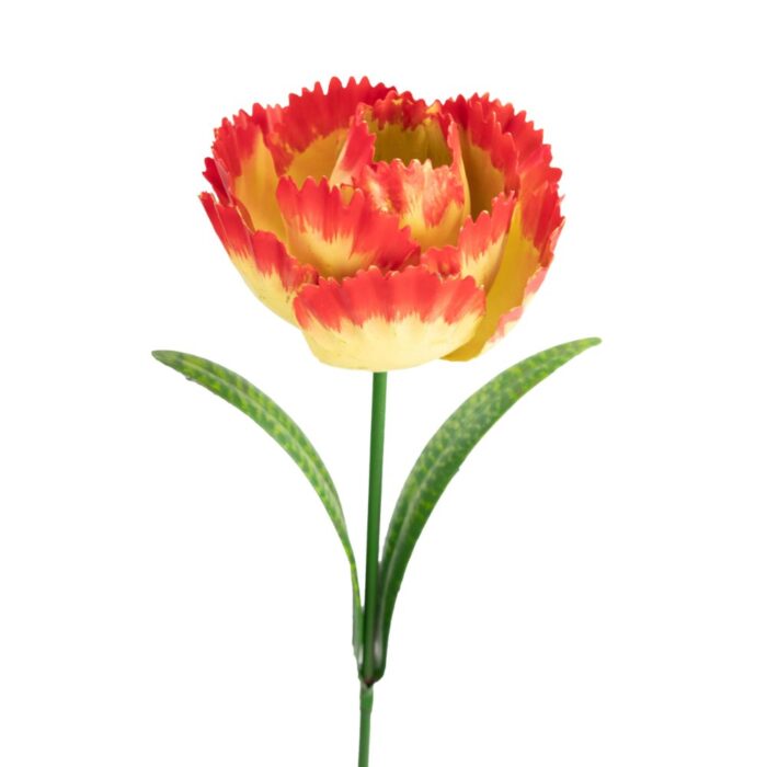 PARROT TULIP R/Y - Image 2