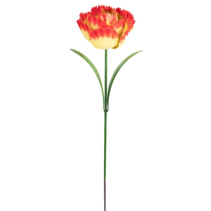 PARROT TULIP R/Y