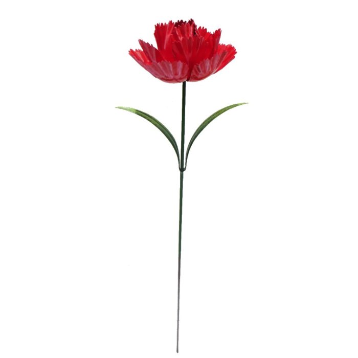 PARROT TULIP R