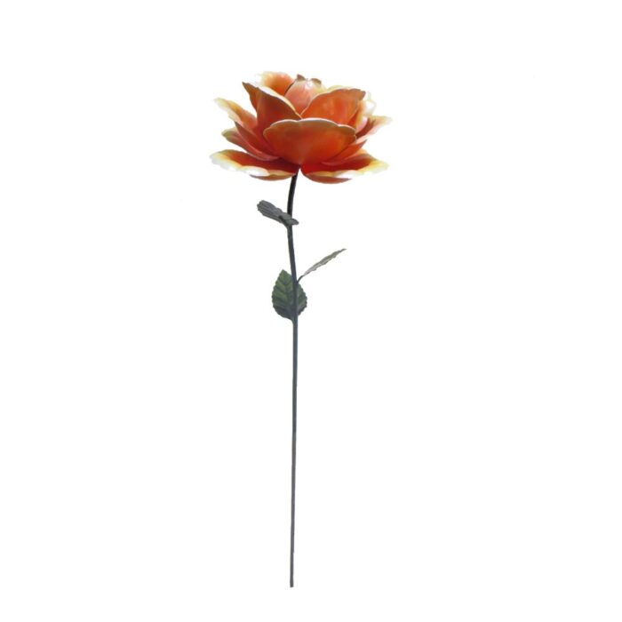 ROSE (83cm) A