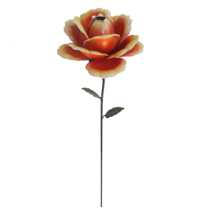 ROSE (62cm) A