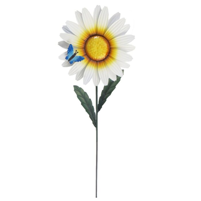 DAISY