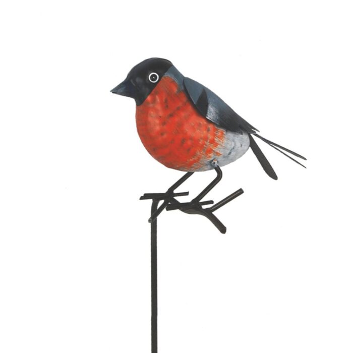 BULLFINCH ON TWIG