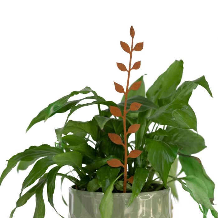 HOUSE PLANT FLOWER STAKES (S/3) - Image 4