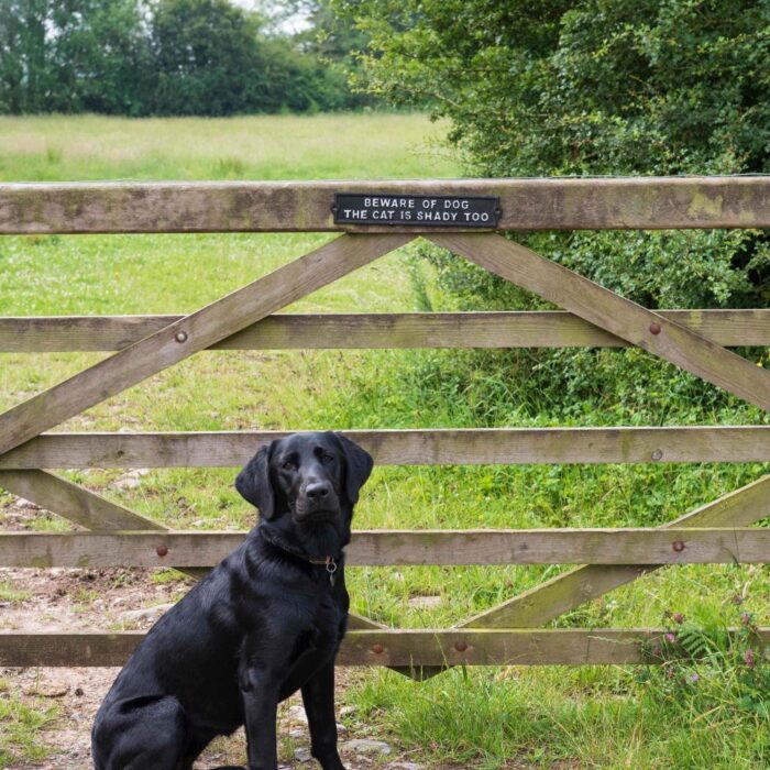 SIGN - BEWARE OF DOG & CAT - Image 2