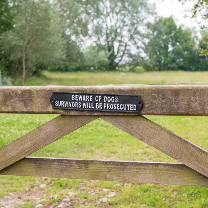 SIGN - DOGS  SURVIVORS - Image 2